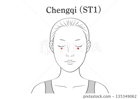 Illustration material of the Shokyu acupoint (in English) 135349062
