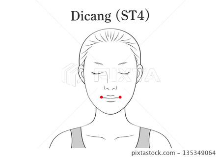 千索穴位圖解（英文） 135349064