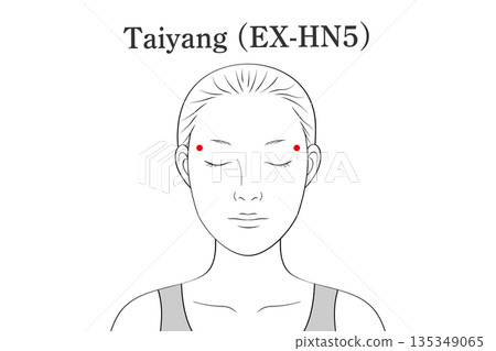 Illustration material of the sun's pressure point (in English) 135349065