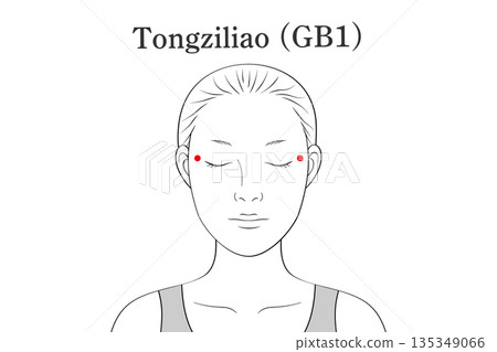 Illustration material of the Doshiryo acupoint (in English) 135349066