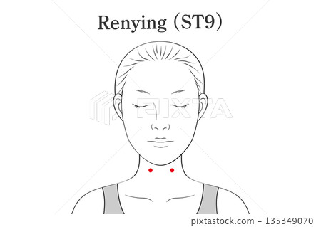 Illustration material of the Renying acupoint (in English) 135349070