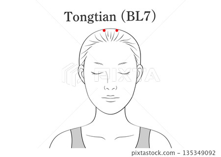 通天穴位圖解（英文） 135349092