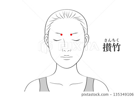 Illustration material of Sanchiku acupuncture point Illustration material of Sanchiku acupuncture point 135349106