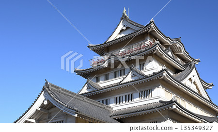 Chiba Castle 135349327