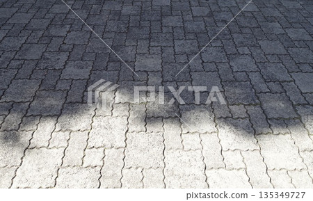 shadow of a tree on the ground 135349727