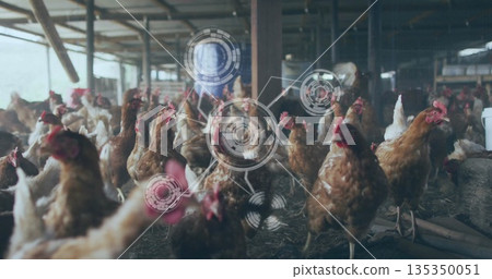 Pecking brown hens feeding on straw-covered dirt floor inside poultry barn, with HUD data overlays 135350051