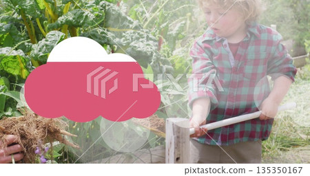 Harvesting boy prying soil beside raised bed, with hoe, root vegetables and Swiss chard, copy space Harvesting boy prying soil beside raised bed, with hoe, root vegetables and Swiss chard, copy space 135350167