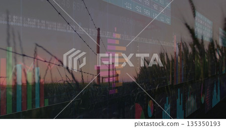 Displaying barbed wire fence and grain stalks framing silo at twilight, overlaying finance charts 135350193