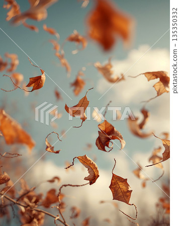 Falling Autumn Leaves in Warm Sunlight with Selective Focus and Soft Bokeh Background, Symbolizing Loneliness, Seasonal Change, and the Ethereal Beauty of Nature in Fall Season. 135350332