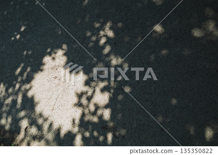 sunshine filtering through foliage, sunlight through the leaves, concrete 135350822