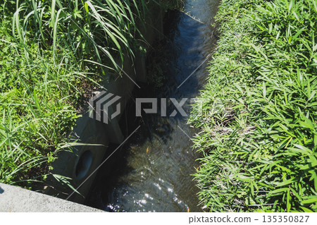 小溪 水槽 海峽 135350827