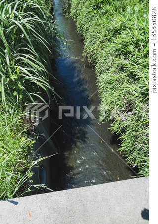 小溪 水槽 海峽 135350828