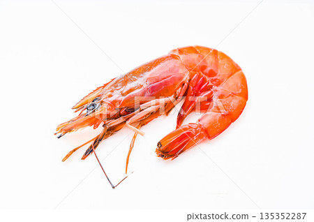 一隻大號阿根廷紅生蝦 135352287