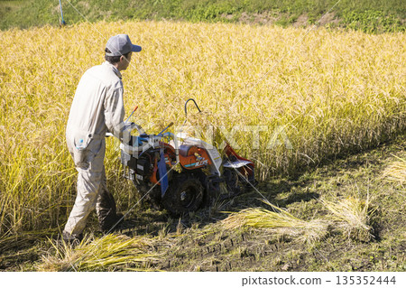 稻米收割圖片：一名男子使用手持稻米收割機收割水稻 135352444