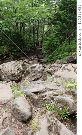 Climbing Mount Tateshina (Chino City, Nagano Prefecture) 135352483