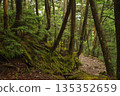 Mount Tateshina (Chino City, Nagano Prefecture) 135352659