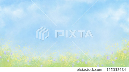 Spring blue sky and flower fields 135352684