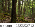Mount Tateshina (Chino City, Nagano Prefecture) 135352712