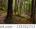 Mount Tateshina (Chino City, Nagano Prefecture) 135352713