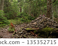 Mount Tateshina (Chino City, Nagano Prefecture) 135352715