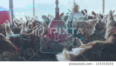 Milling chickens beneath feeders in barn, with holographic padlock icon overlaying data graphs 135353039