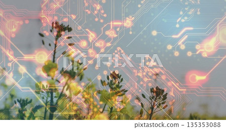 Showing green flowering stems glowing with orange-pink circuit patterns in open meadow, tech fusion 135353088