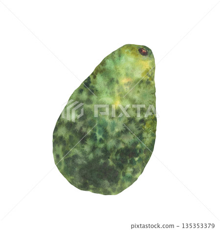 Watercolor whole avocado fruit. One ripe avocado with textured green skin, peel and stem. Hand drawn illustration isolated from background for vegetable food design, healthy vegan product packaging. Watercolor whole avocado fruit. One ripe avocado with textured green skin, peel and stem. Hand drawn illustration isolated from background for vegetable food design, healthy vegan product packaging. 135353379