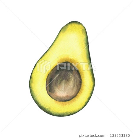 Watercolor avocado cut in half with brown seed. Hand drawn realistic green fruit illustration isolated from background for food design, healthy lifestyle packaging, menus, exotic vegetables label. Watercolor avocado cut in half with brown seed. Hand drawn realistic green fruit illustration isolated from background for food design, healthy lifestyle packaging, menus, exotic vegetables label. 135353380