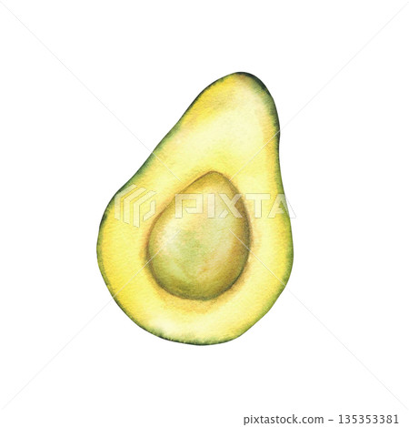 Watercolor avocado cut in half without seed. Hand drawn realistic green exotic fruit pulp illustration isolated from background for healthy fresh food design, packaging, diet menu, farm product label 135353381