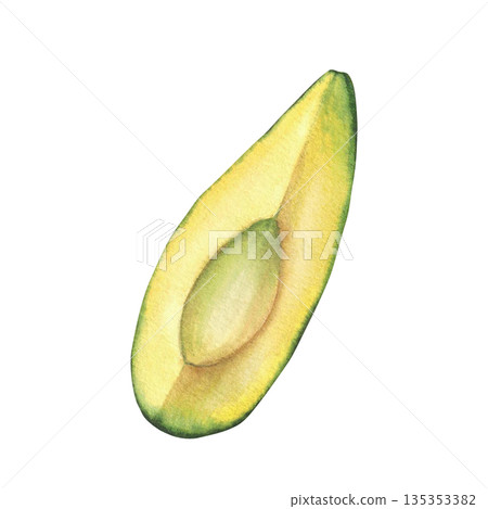 Watercolor Fresh avocado slice. Sliced peeled fruit without seed. Hand drawn realistic green exotic vegetables quarter piece, pulp Isolated from background illustration for healthy food ingredient. 135353382