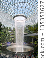 Singapore, Singapore - Indoor waterfall at Jewel Changi Airport with glass dome and lush greenery 135353627