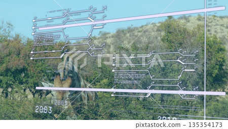 Feeding lone rhinoceros lowering head among shrubs on rolling hillside, with digital overlay labels Feeding lone rhinoceros lowering head among shrubs on rolling hillside, with digital overlay labels 135354173