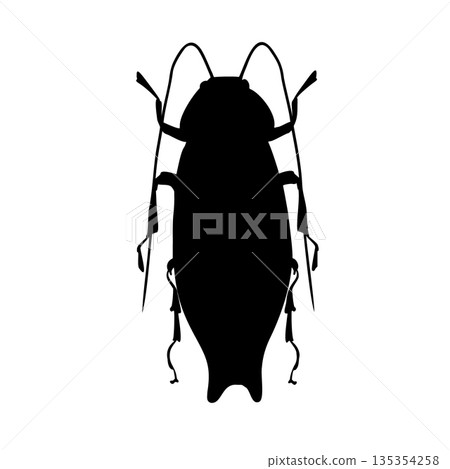 Cockroach vector black silhouette illustration. Insect outline for pest control and entomology. Elongated beetle graphic for design and educational material. Weevil outline drawing. Cockroach vector black silhouette illustration. Insect outline for pest control and entomology. Elongated beetle graphic for design and educational material. Weevil outline drawing. 135354258