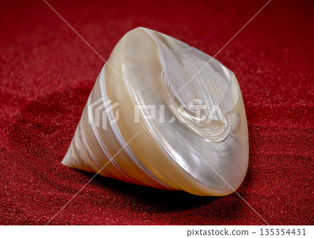 Mother of Pearl Trochus Seashell on red sand Mother of Pearl Trochus Seashell on red sand 135354431