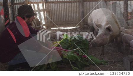 Feeding kneeling farmer extending leafy greens toward sow and piglets in barn, copy space Feeding kneeling farmer extending leafy greens toward sow and piglets in barn, copy space 135354720