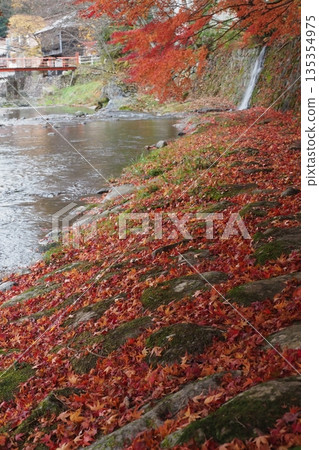 山神川流經洞川溫泉,秋葉飄落其間。 山神川流經洞川溫泉,秋葉飄落其間。 135354975