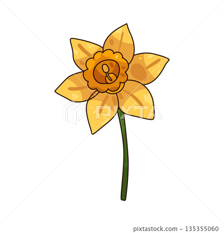 illustration of Daffodil  135355060