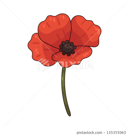 illustration of Poppy illustration of Poppy 135355063