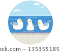 A simple, cute, flat illustration of three seagulls lined up on a breakwater 135355185