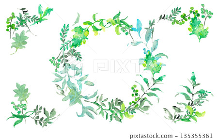 水彩畫。水彩植物向量插圖集。夏季簡約植物向量背景。 水彩畫。水彩植物向量插圖集。夏季簡約植物向量背景。 135355361