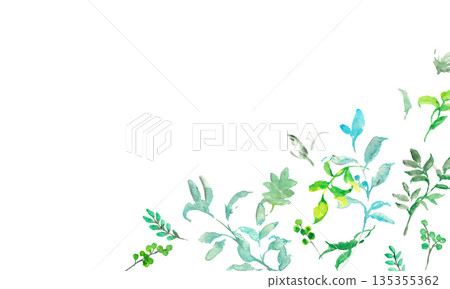 水彩畫。水彩植物向量插圖集。夏季簡約植物向量背景。 水彩畫。水彩植物向量插圖集。夏季簡約植物向量背景。 135355362
