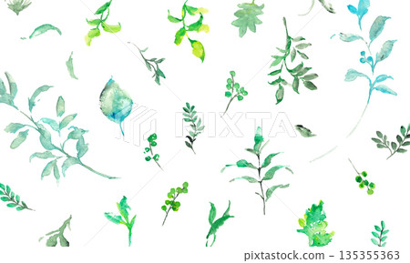 水彩畫。水彩植物向量插圖集。夏季簡約植物向量背景。 水彩畫。水彩植物向量插圖集。夏季簡約植物向量背景。 135355363