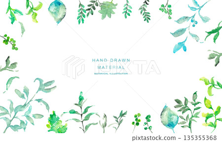 Watercolor painting. Watercolor botanical vector illustration set. Summer simple plant vector background. Watercolor painting. Watercolor botanical vector illustration set. Summer simple plant vector background. 135355368