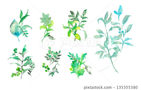 Watercolor painting. Watercolor botanical vector illustration set. Summer simple plant vector background. Watercolor painting. Watercolor botanical vector illustration set. Summer simple plant vector background. 135355380