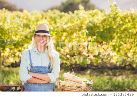 Woman wearing straw hat and denim overalls harvesting vegetables, eggplants from table in vineyard Woman wearing straw hat and denim overalls harvesting vegetables, eggplants from table in vineyard 135355459