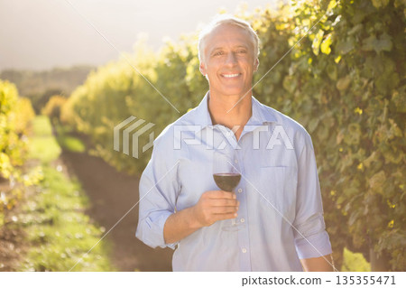 Senior man standing among sunlit grapevines holding glass of red wine under warm sunlight 135355471