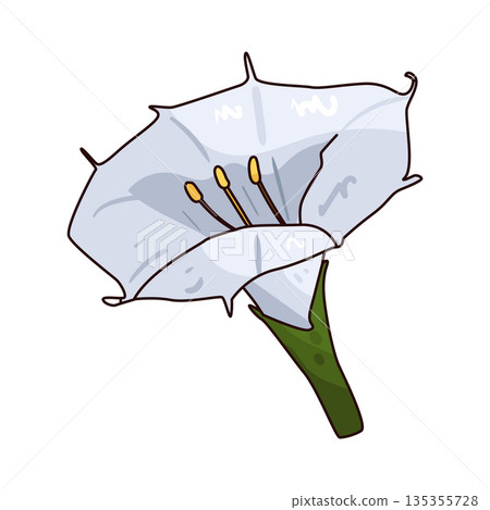 illustration of Moonflower illustration of Moonflower 135355728