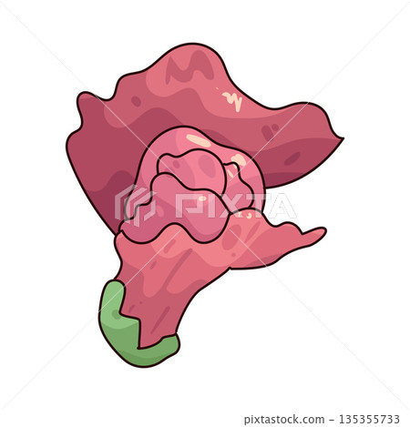 illustration of snapdragon flower 135355733