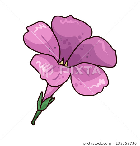 illustration of Petunia illustration of Petunia 135355736
