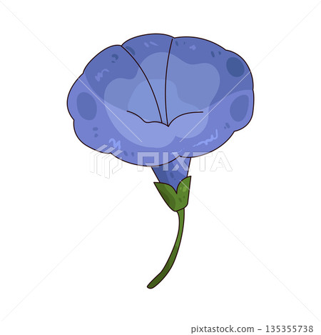 illustration of Morning Glory  135355738